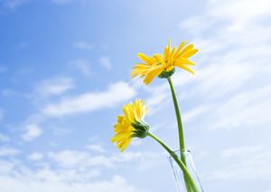 永代供養の法事なら、ゆめみどう